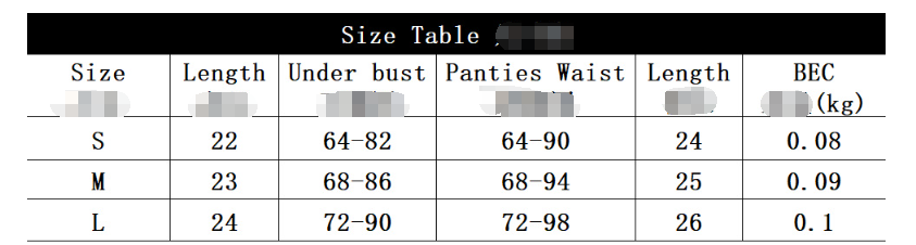 Floral Embroidered Lingerie Set for Women