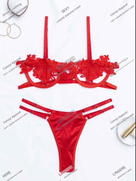 Lace Overlay Bustier Set - Sexy Lingerie Collection